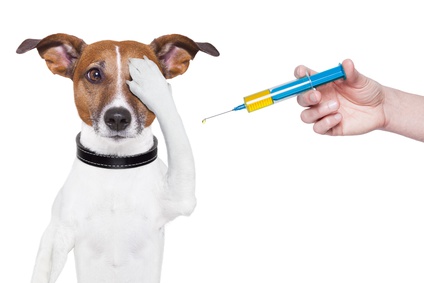 vaccinazione al cane che non la vuole