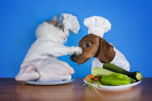 gatto e cane con cibo sano