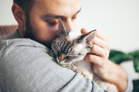 I 10 Modi in cui il Gatto Dimostra il Suo Affetto e Amore - FitoPets Italiano