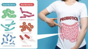 prebiotici e probiotici nell'intestino